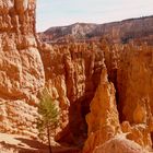 Bryce Canyon