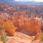 Bryce Canyon