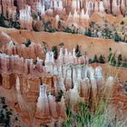 Bryce Canyon