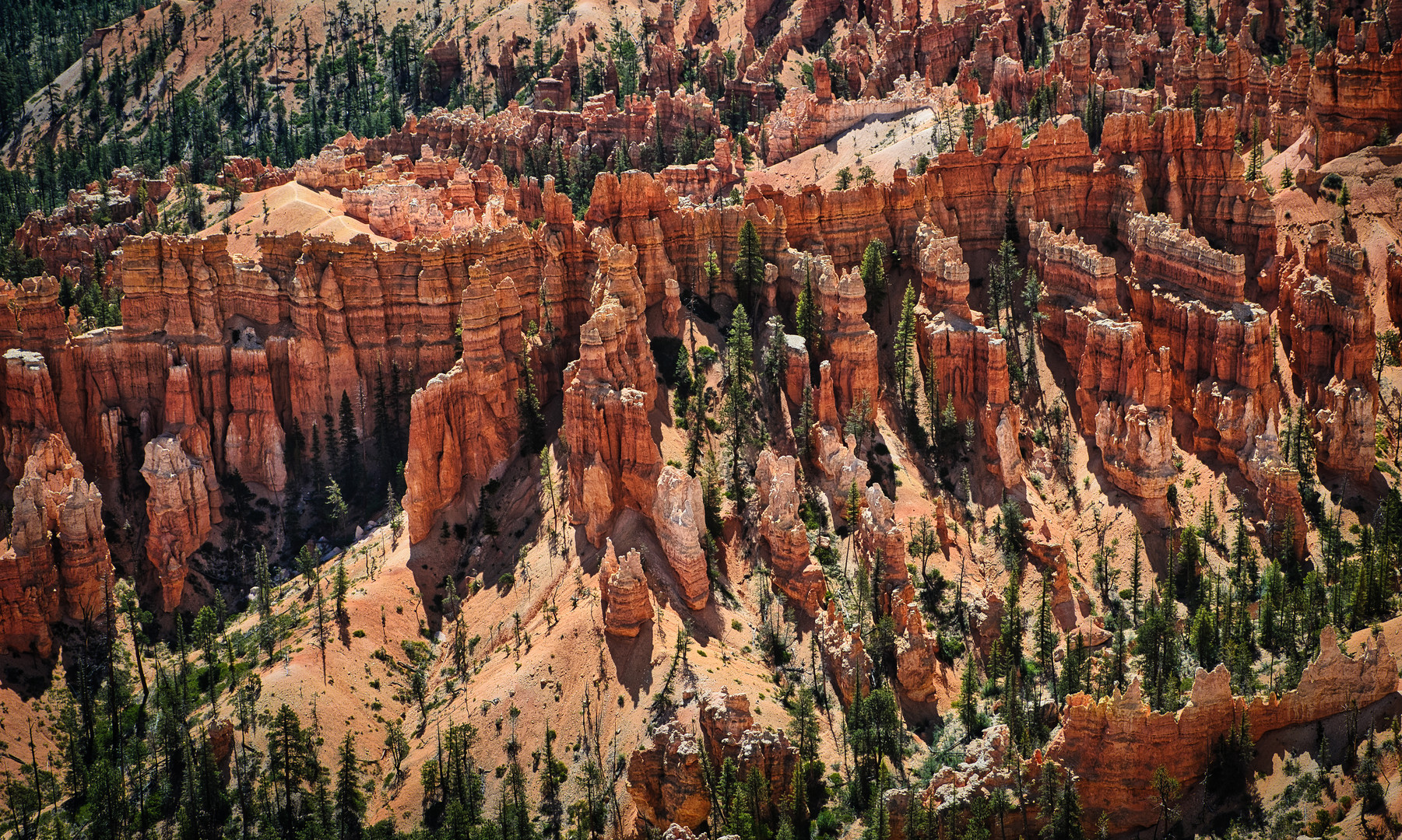 Bryce Canyon