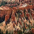 Bryce Canyon