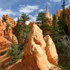 Bryce Canyon