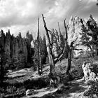 Bryce  Canyon