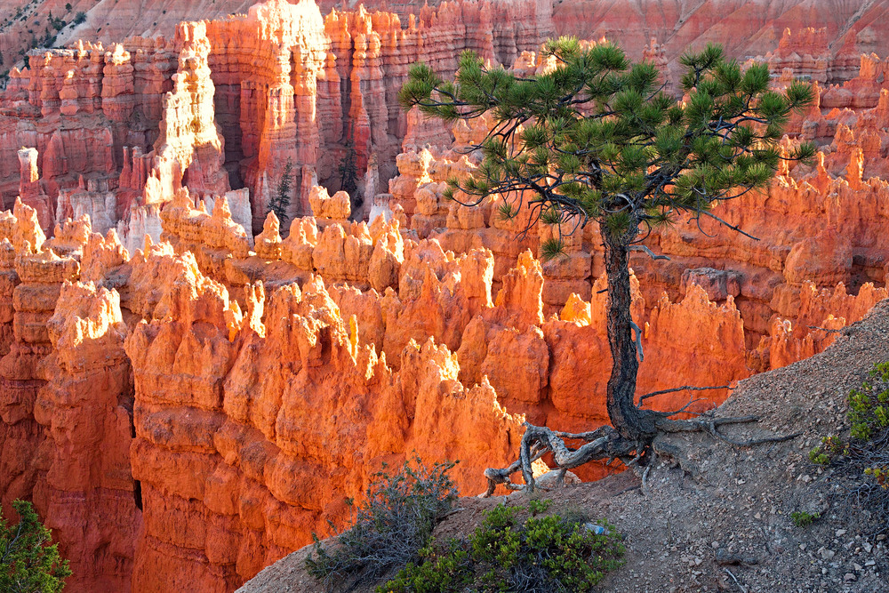 Bryce Canyon