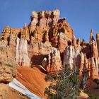 Bryce Canyon; along Queens Garden Trail