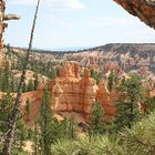 Bryce Canyon - Am Navajo Loop Trail