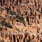 Bryce Canyon - Amphitheater