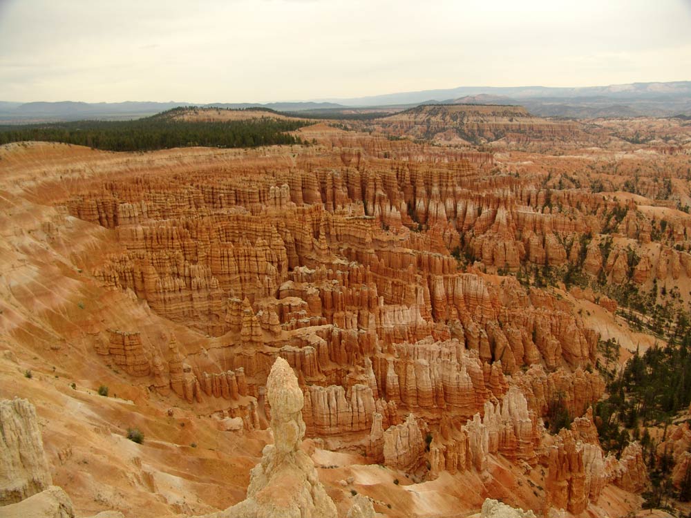 Bryce Canyon: Amphitheater