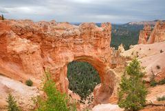 Bryce Canyon Arch