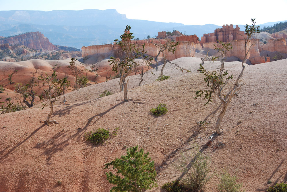 Bryce Canyon