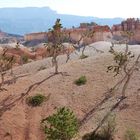 Bryce Canyon