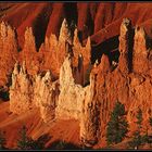 Bryce Canyon bei Sonnenaufgang - Detail