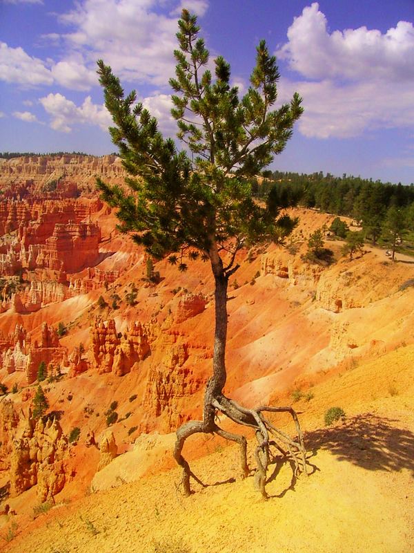 bryce canyon