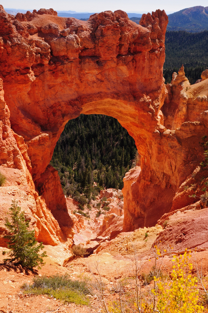 Bryce Canyon