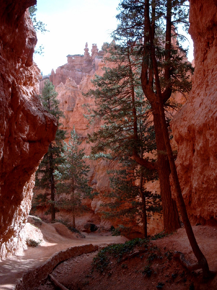 Bryce Canyon