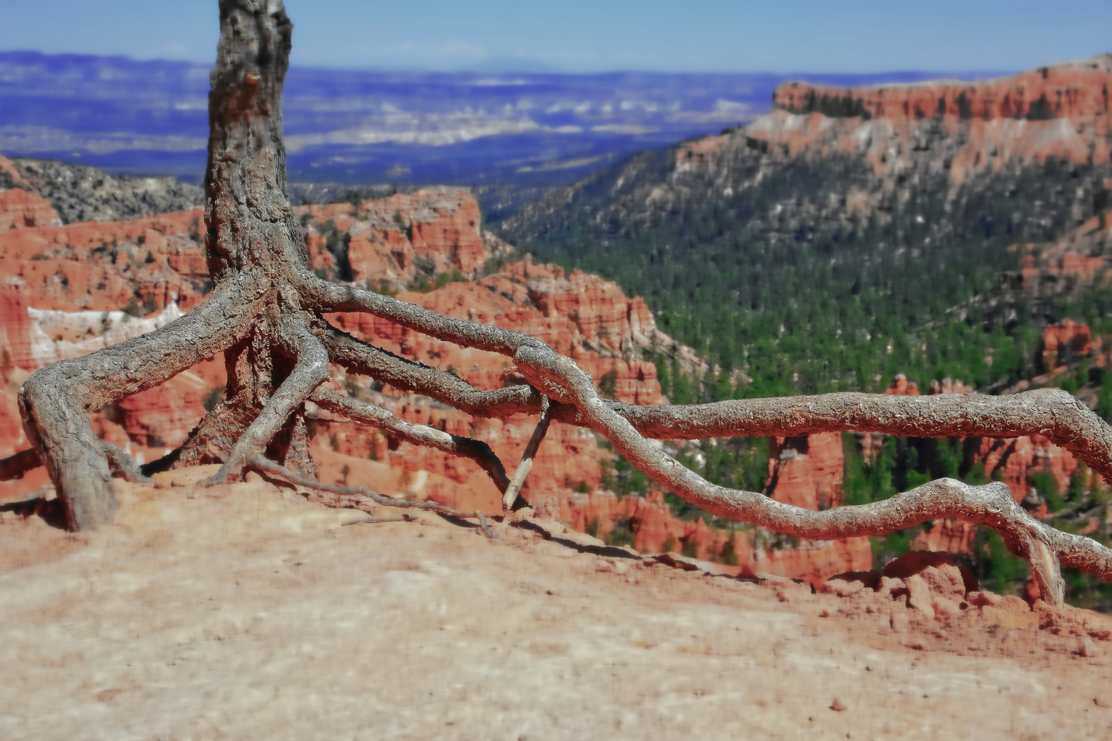 Bryce Canyon