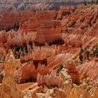 Bryce Canyon.