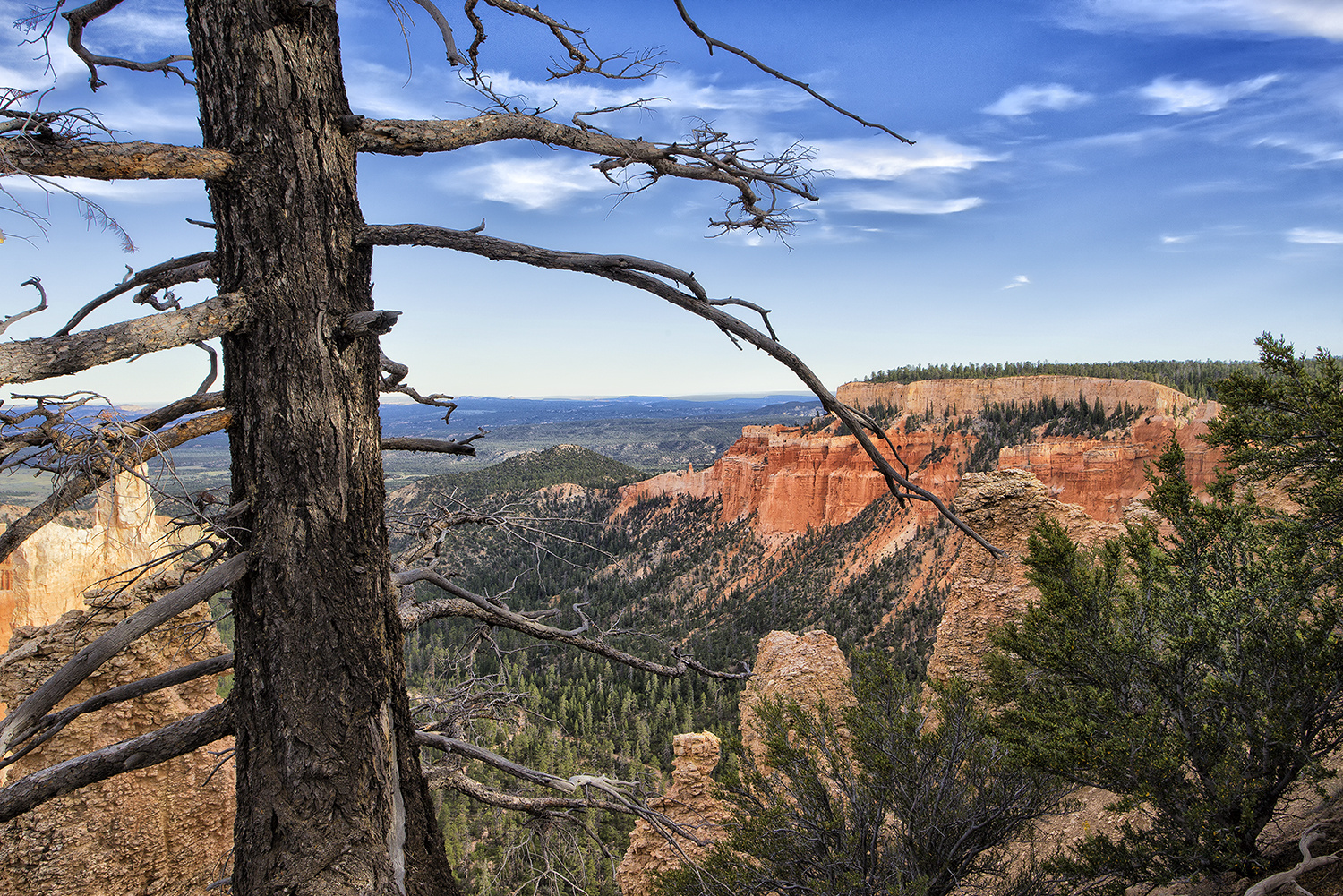 Bryce Canyon