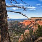 Bryce Canyon