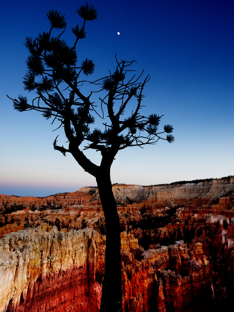 Bryce Canyon