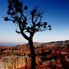 Bryce Canyon