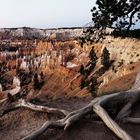 Bryce Canyon