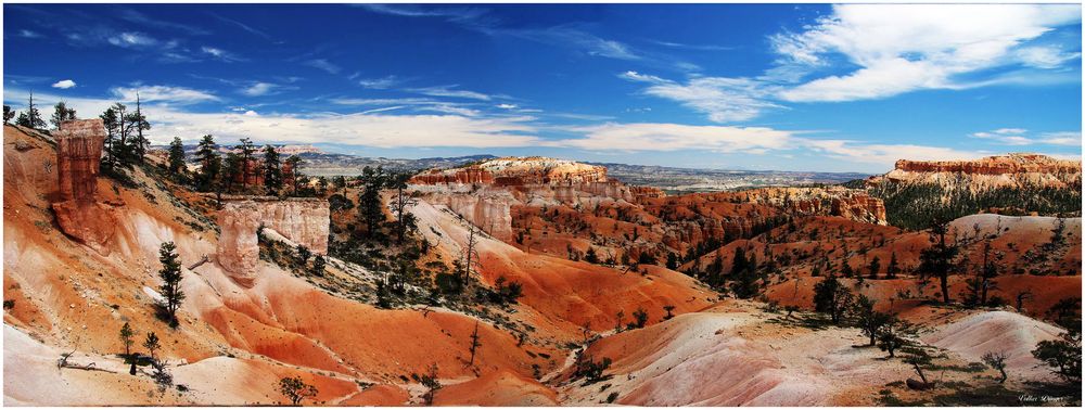 #Bryce Canyon#