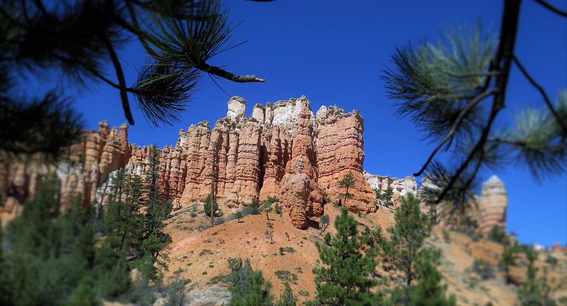 Bryce canyon