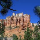 Bryce canyon