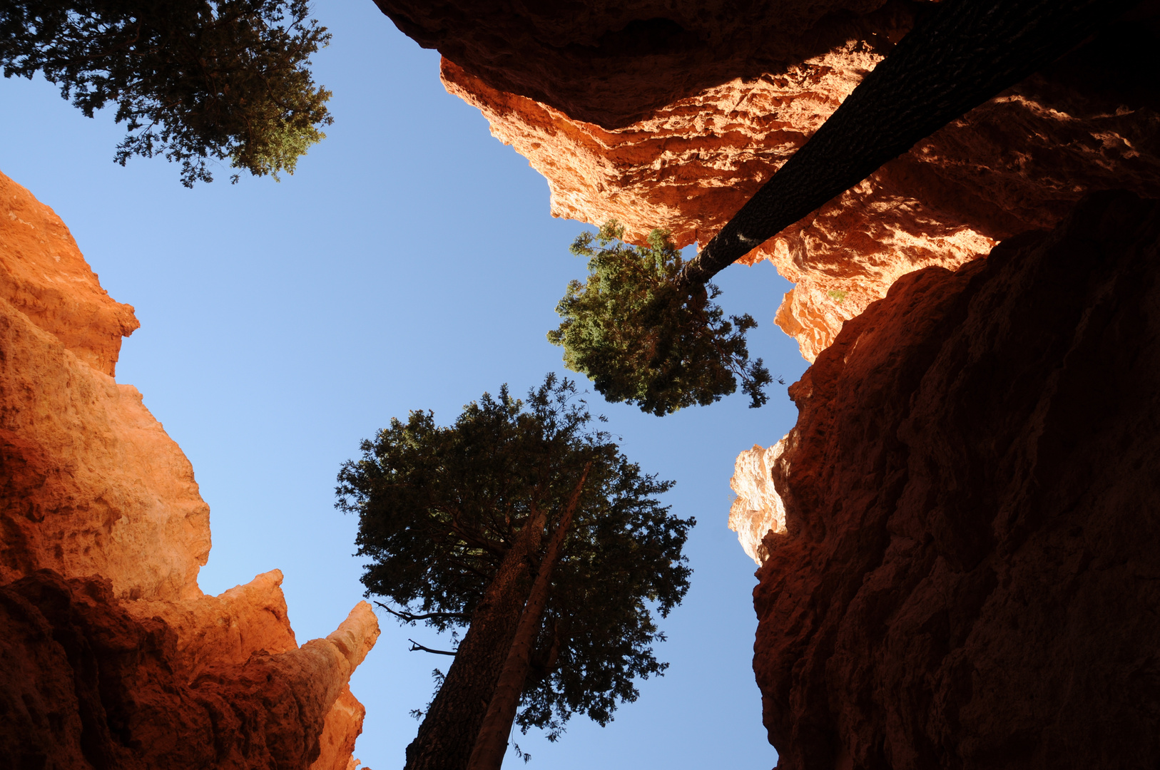 Bryce canyon: cercando la luce