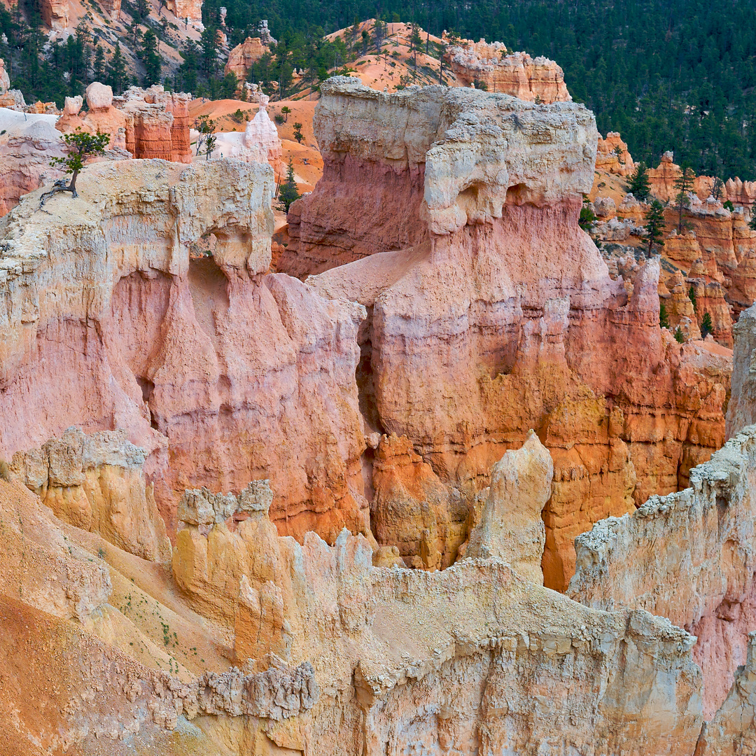Bryce Canyon Color