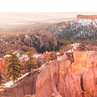 Bryce Canyon