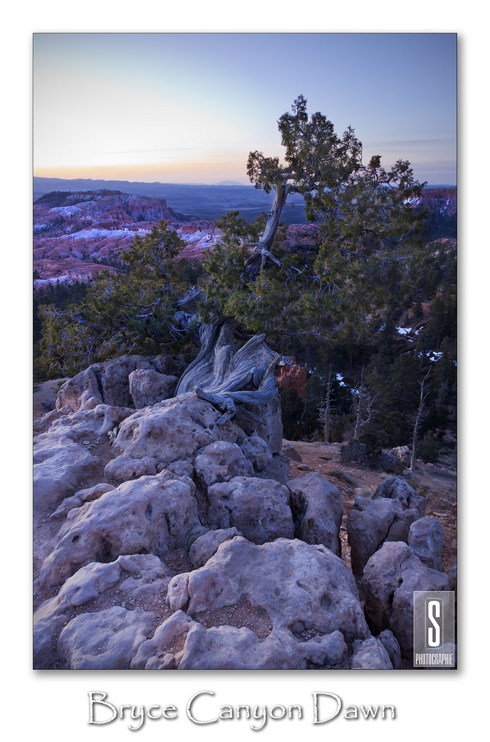 Bryce Canyon Dawn