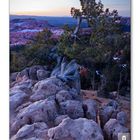Bryce Canyon Dawn