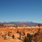 Bryce Canyon