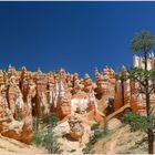 Bryce Canyon