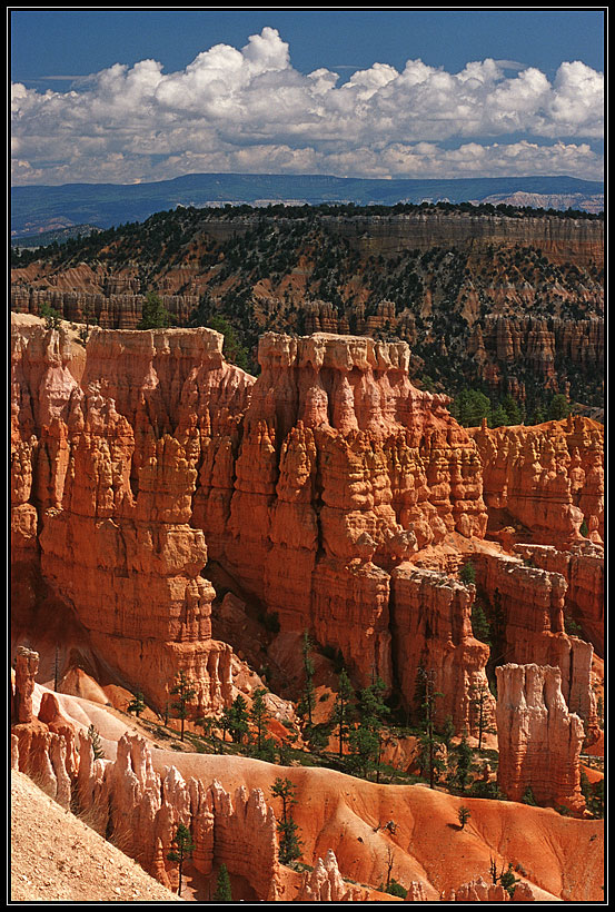 Bryce Canyon - DER TRAUMNATIONALPARK