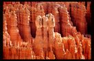 Bryce Canyon Detail by Mieka 