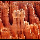 Bryce Canyon Detail