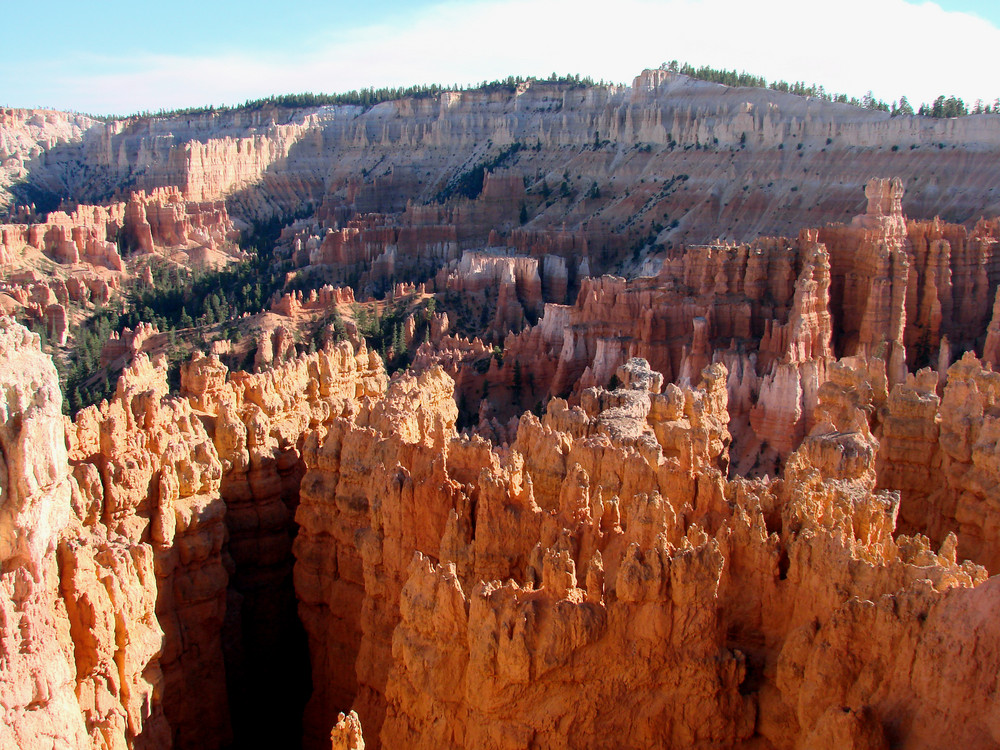 Bryce Canyon Detail 1