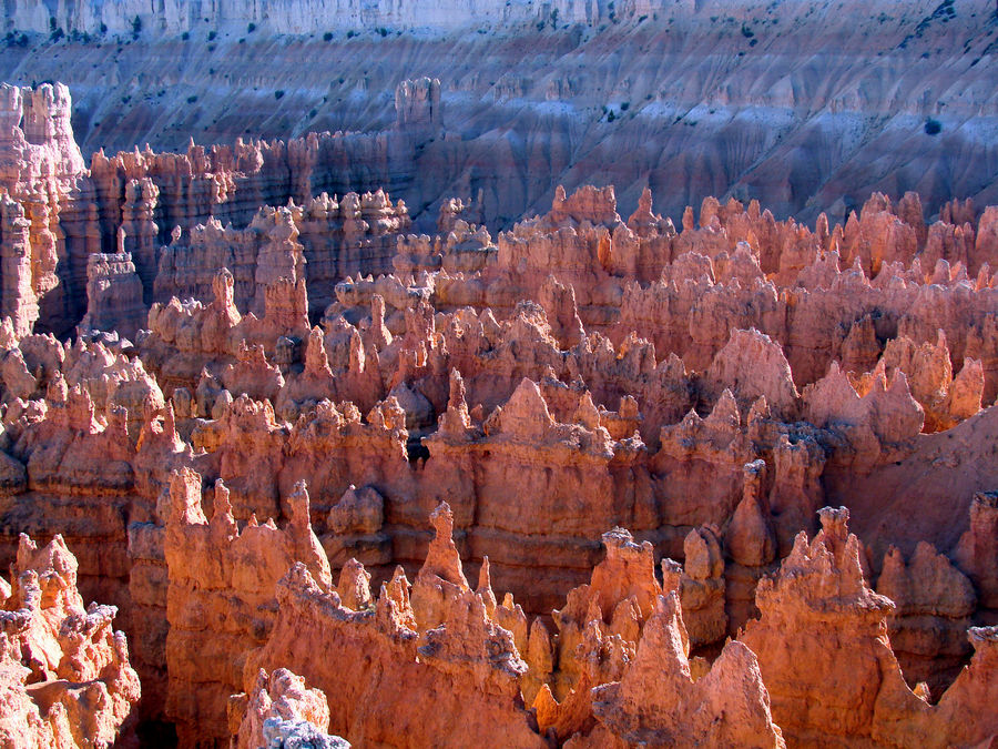 Bryce Canyon Detail 2