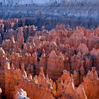 Bryce Canyon Detail 2