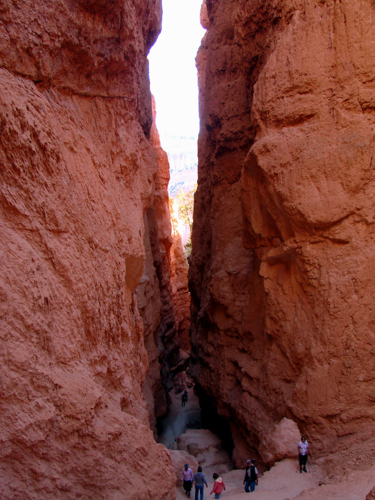 Bryce Canyon Detail 3