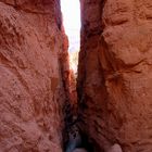 Bryce Canyon Detail 3