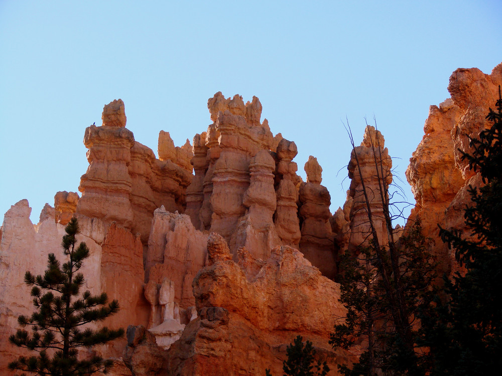 Bryce Canyon Detail 5