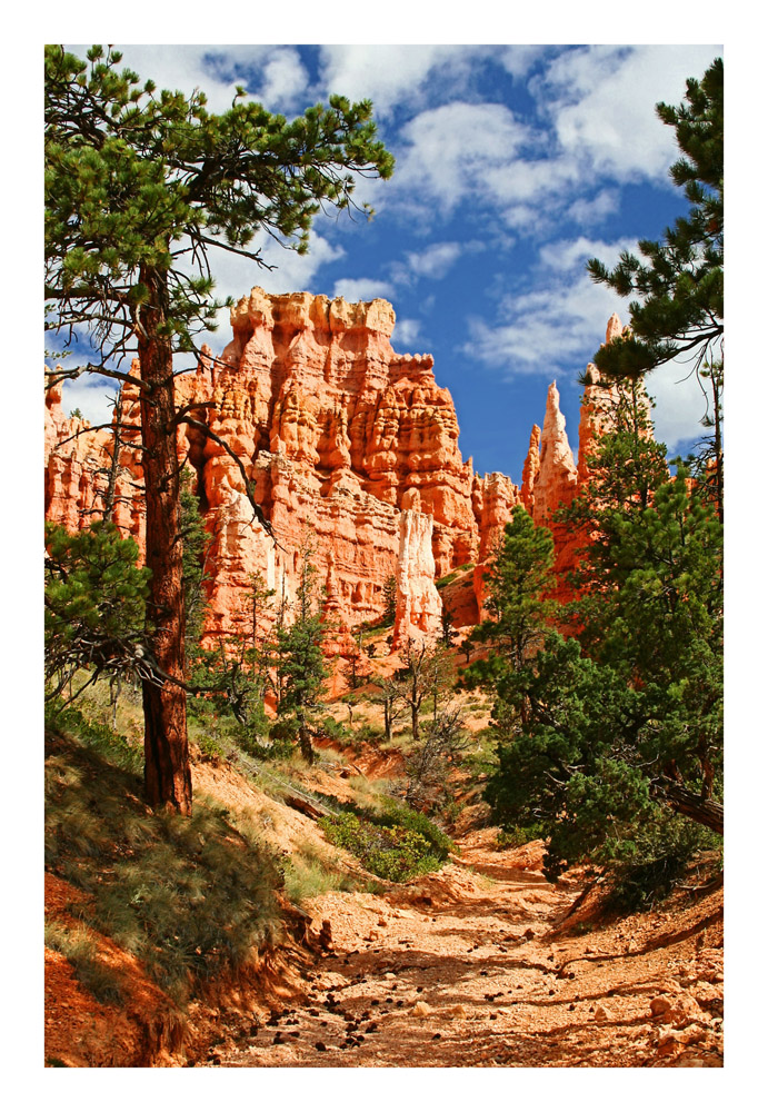 Bryce Canyon ... die Dritte