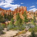 Bryce Canyon, die wenig bekannte Seite