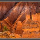 Bryce Canyon Dreamlight