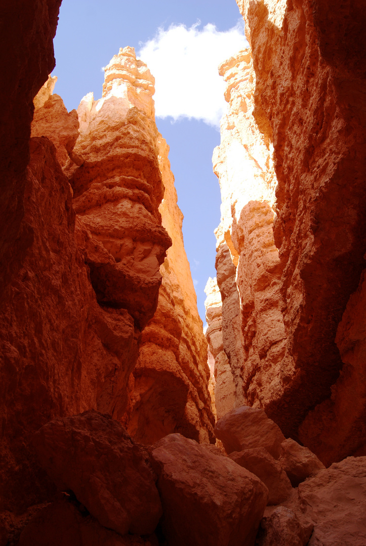 Bryce Canyon