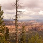 Bryce Canyon